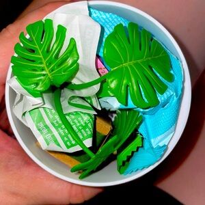 Mini verse Lifestyle Plants